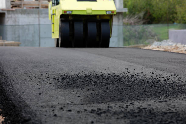 Best Local Driveway Pavers  in Cresco, IA