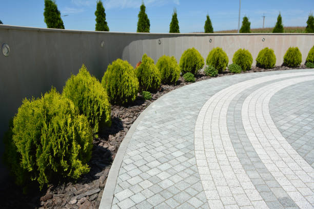 Best Local Driveway Pavers  in Cresco, IA